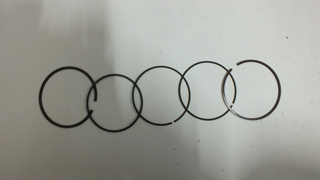 SEGMAN STD